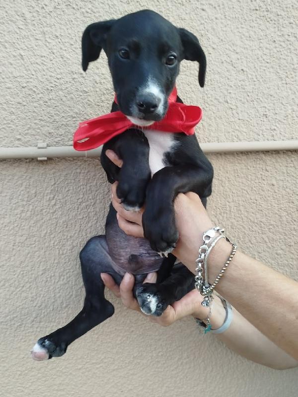 THOR Foto 3